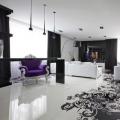 Fekete-fehér nappali belső tér (30 fotó) Nappali kialakítás fehér és fekete színben