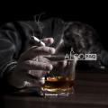 Viskijs: ieguvumi un kaitējums cilvēku veselībai