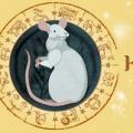 Tahun Tikus menurut horoskop Cina: apakah mereka - orang Tikus?