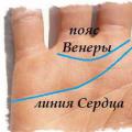 A kéz különböző vonalainak jelentése a tenyérjóslásban