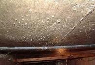 How to dry a cellar in a garage or basement without ventilation